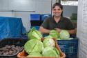 Líder nacional em alimentos orgânicos, Paraná investe para ampliar produção e consumo