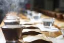 Com apoio do Tecpar, empreendedores vão produzir água para preparo de cafés especiais