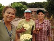 Pesquisadores da Unioeste desenvolvem horta comunitária com plantas medicinais