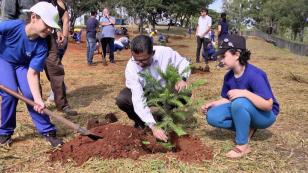 Crianças do Caic plantam 50 araucárias em comemoração aos 50 anos da UEPG