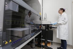 Equipe do Laboratório de Biologia Molecular será responsável pelos exames (FOTO: COM/HU)
