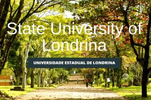 UEL lança portal em inglês para estudantes e professores estrangeiros