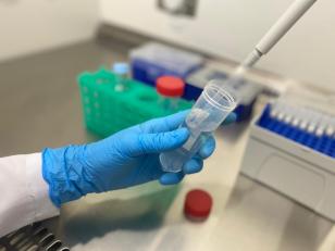 Paraná seleciona profissionais de saúde para programa de diagnóstico molecular do novo coronavírus
