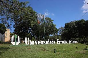 UEL abre inscrições para 205 vagas de estágio em unidades dentro e fora da universidade