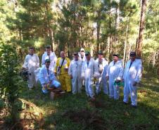 Universidades Estaduais impulsionam a produção de mel no Paraná