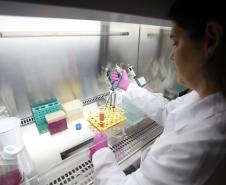 Pesquisadoras da UEM vão liderar projeto nacional de autocoleta de HPV