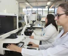 Capes autoriza mais seis doutorados nas universidades estaduais do Paraná