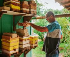 Com apoio do Estado, projeto que estimula produção de mel em Morretes completa um ano