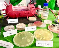 Vírus, bactérias e fungos: UEL leva novos experimentos para a 75ª Reunião da SBPC