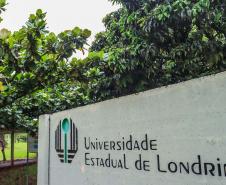Universidades estaduais estão com inscrições abertas para 117 mestrados e doutorados
