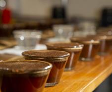 Com apoio do Tecpar, empreendedores vão produzir água para preparo de cafés especiais