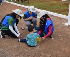 Operação Rondon Paraná 2024 beneficia 21 mil pessoas na primeira semana de atividades