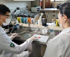 Produto desenvolvido na UEL determina o tipo sanguíneo em menos de dois minutos