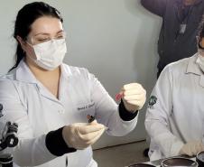 Produto desenvolvido na UEL determina o tipo sanguíneo em menos de dois minutos