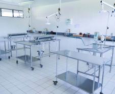 Localizado em Umuarama, HVU projeta expansão na infraestrutura e no atendimento a animais de pequeno e grande porte