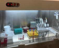 Pesquisadores estudam uso de composto na própolis para tratamento de câncer de mama