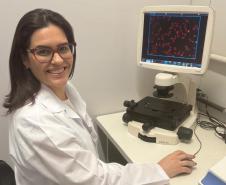 Pesquisadores estudam uso de composto na própolis para tratamento de câncer de mama