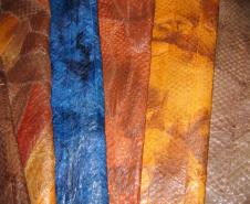 Tilápia vira vestuário, material hospitalar e suplemento alimentício em laboratório da UEM