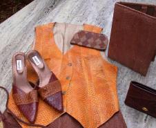 Tilápia vira vestuário, material hospitalar e suplemento alimentício em laboratório da UEM