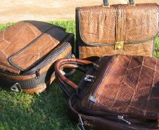 Tilápia vira vestuário, material hospitalar e suplemento alimentício em laboratório da UEM