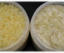 Tilápia vira vestuário, material hospitalar e suplemento alimentício em laboratório da UEM