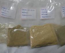 Tilápia vira vestuário, material hospitalar e suplemento alimentício em laboratório da UEM