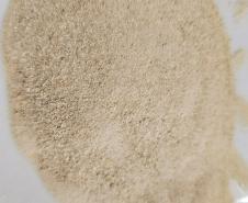 Tilápia vira vestuário, material hospitalar e suplemento alimentício em laboratório da UEM