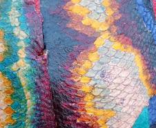 Tilápia vira vestuário, material hospitalar e suplemento alimentício em laboratório da UEM