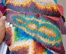 Tilápia vira vestuário, material hospitalar e suplemento alimentício em laboratório da UEM