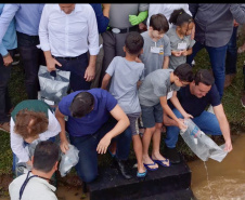 Estado repovoa Parque Passaúna em Curitiba com meio milhão de peixes nativos