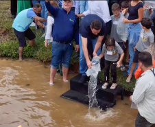 Estado repovoa Parque Passaúna em Curitiba com meio milhão de peixes nativos