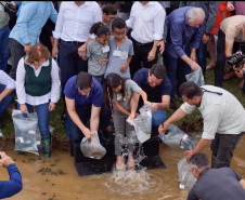 Estado repovoa Parque Passaúna em Curitiba com meio milhão de peixes nativos