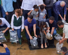 Estado repovoa Parque Passaúna em Curitiba com meio milhão de peixes nativos