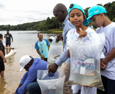 Estado repovoa Parque Passaúna em Curitiba com meio milhão de peixes nativos