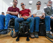 Governo do Paraná lança concurso de inovação para criação de bengalas inteligentes