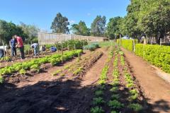 Projeto de Capacitação em Horticultura da UEM