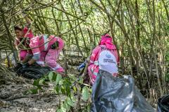 Mutirão de limpeza nos manguezais de Paranaguá recolhe 615 quilos de resíduos