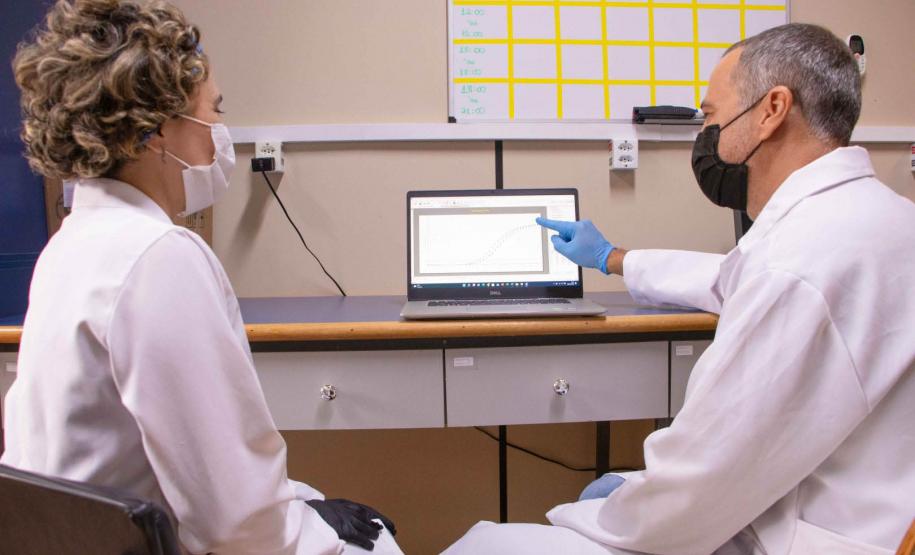 Universidades estaduais do Paraná aprofundam pesquisa sobre alimentação de vacas e qualidade do leite