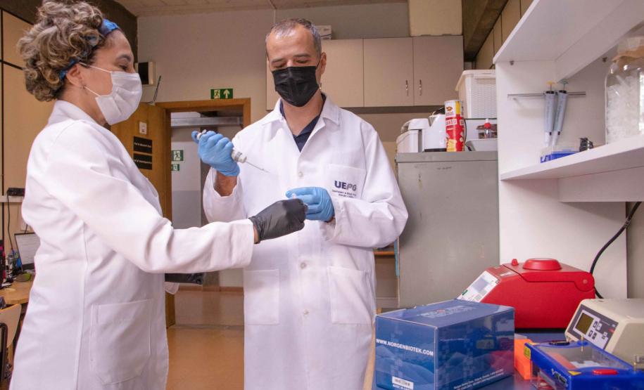 Universidades estaduais do Paraná aprofundam pesquisa sobre alimentação de vacas e qualidade do leite