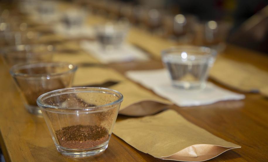 Com apoio do Tecpar, empreendedores vão produzir água para preparo de cafés especiais