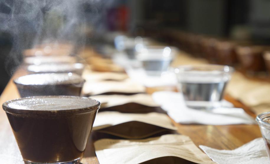 Com apoio do Tecpar, empreendedores vão produzir água para preparo de cafés especiais