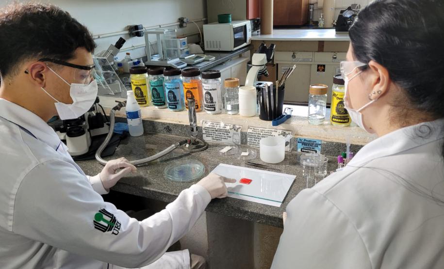 Produto desenvolvido na UEL determina o tipo sanguíneo em menos de dois minutos