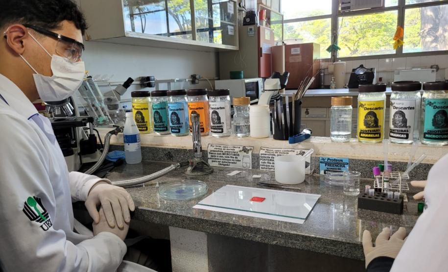 Produto desenvolvido na UEL determina o tipo sanguíneo em menos de dois minutos