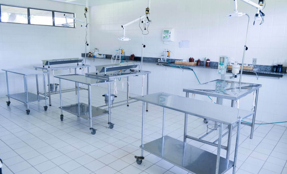 Localizado em Umuarama, HVU projeta expansão na infraestrutura e no atendimento a animais de pequeno e grande porte