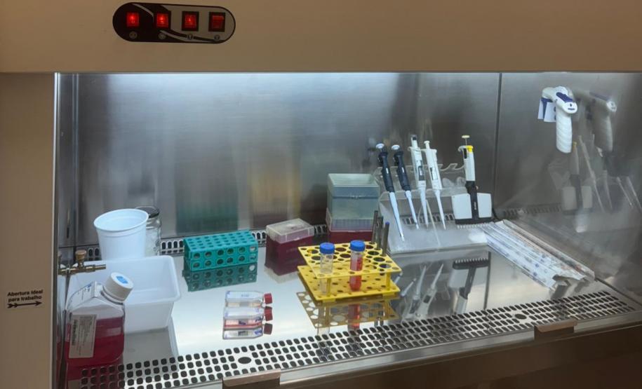 Pesquisadores estudam uso de composto na própolis para tratamento de câncer de mama