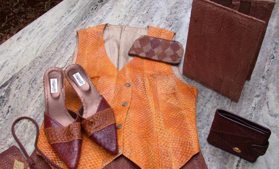 Tilápia vira vestuário, material hospitalar e suplemento alimentício em laboratório da UEM