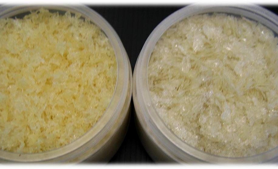 Tilápia vira vestuário, material hospitalar e suplemento alimentício em laboratório da UEM