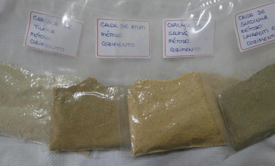 Tilápia vira vestuário, material hospitalar e suplemento alimentício em laboratório da UEM