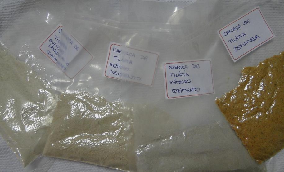 Tilápia vira vestuário, material hospitalar e suplemento alimentício em laboratório da UEM