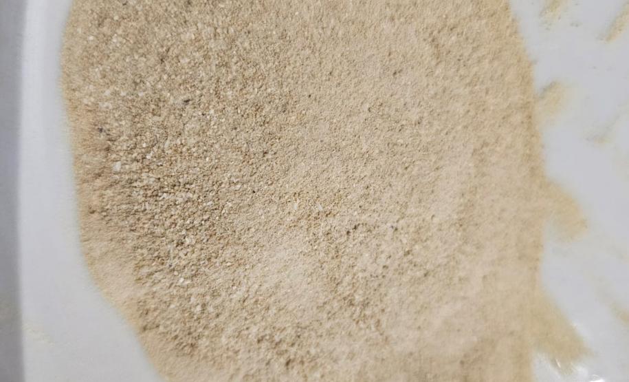 Tilápia vira vestuário, material hospitalar e suplemento alimentício em laboratório da UEM